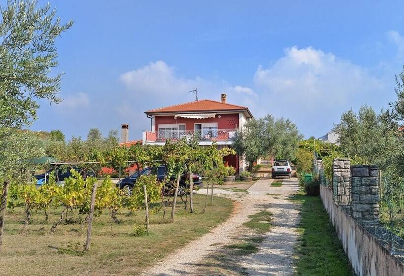 Apartment With Nice Terrace 684