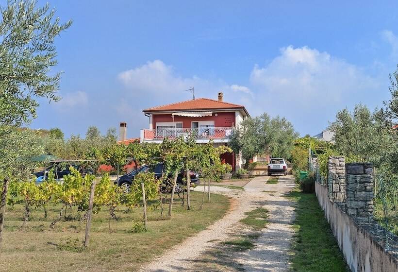 Apartment With Nice Terrace 684