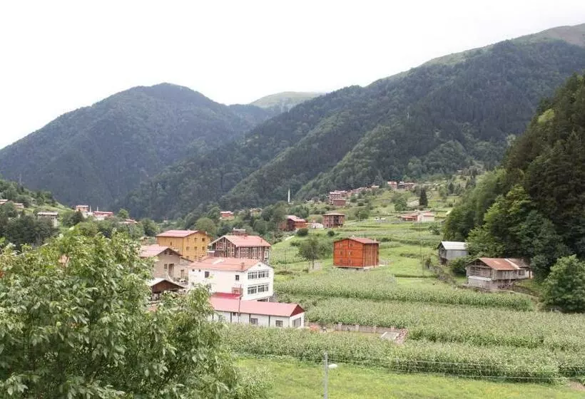 Uzungöl Zahra Apart