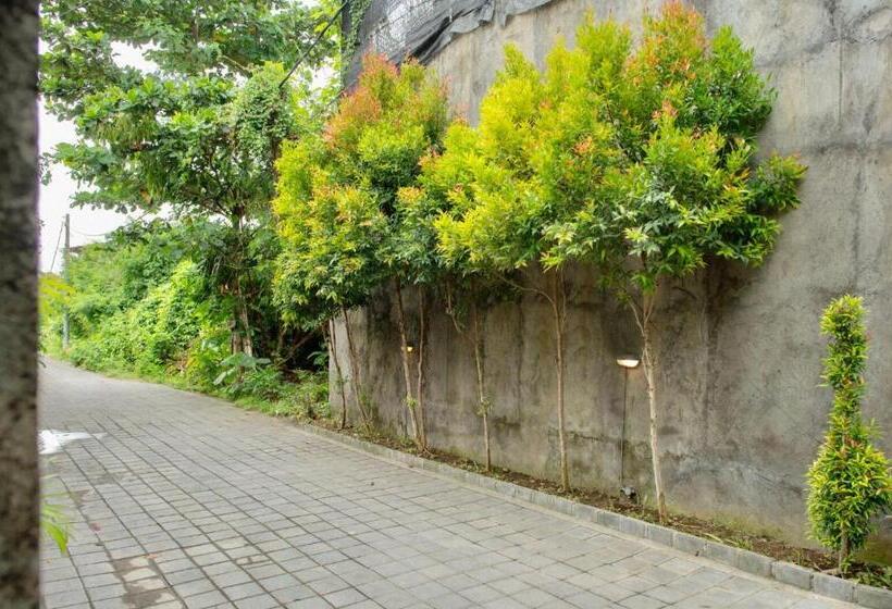 بنسيون A7 Guesthouse