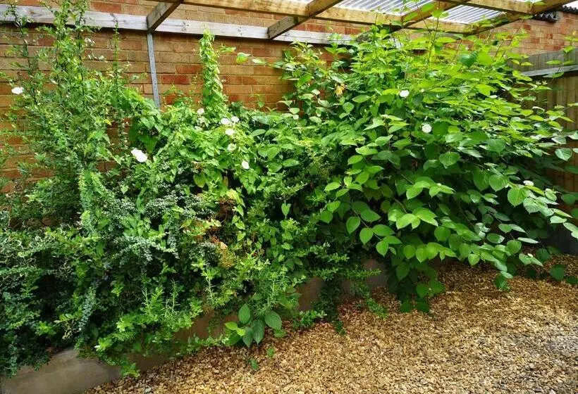 Majatalo The Lavenders