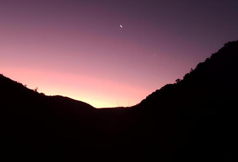 旅馆 Pousada São Francisco Petar