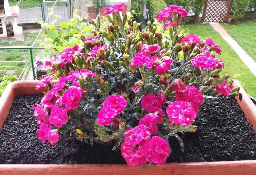 펜션 Affittacamere Giada