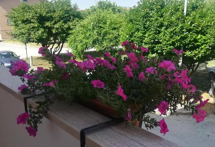 پانسیون Affittacamere Giada