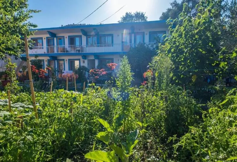Balalayka Butik Otel