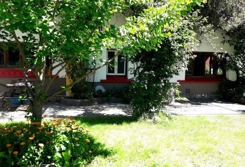 تختخواب و صبحانه Pura Vida Hostel