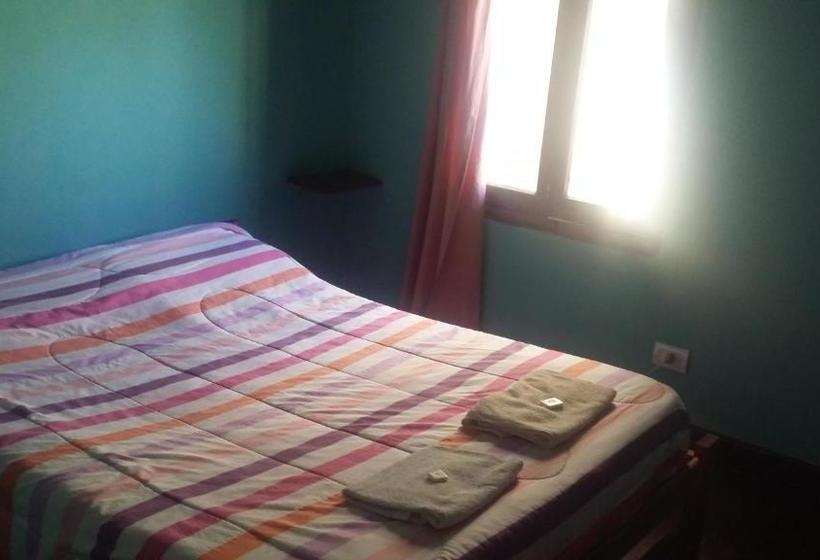 تختخواب و صبحانه Pura Vida Hostel