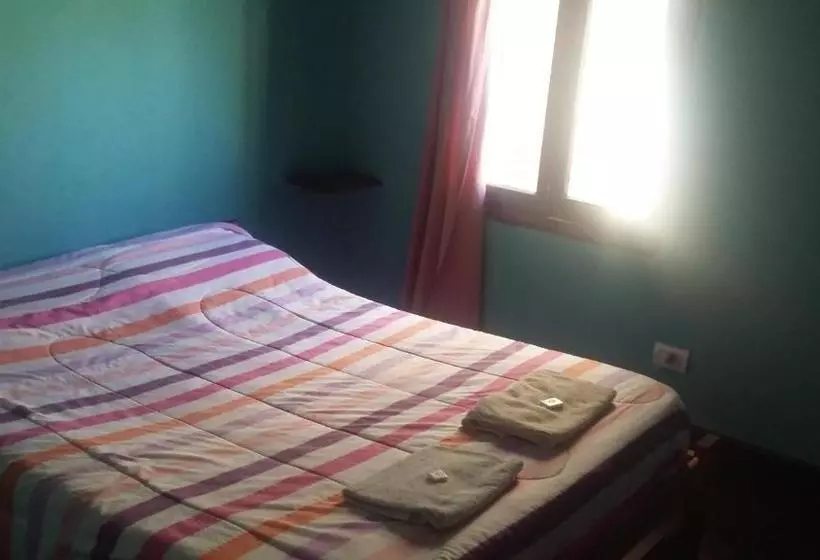 تختخواب و صبحانه Pura Vida Hostel