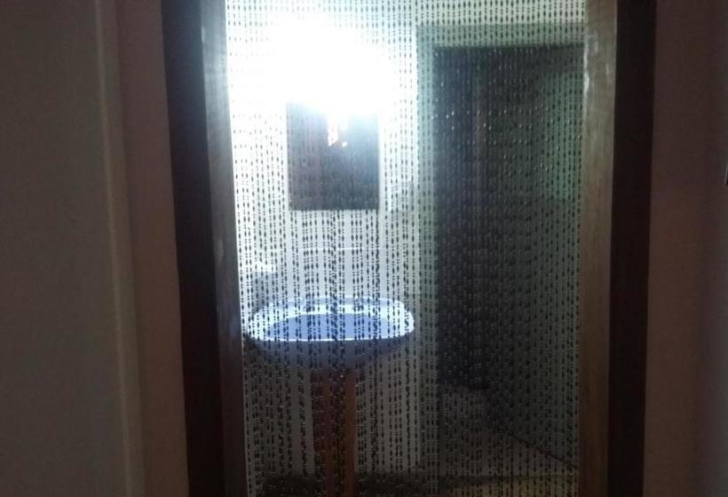 تختخواب و صبحانه Pura Vida Hostel