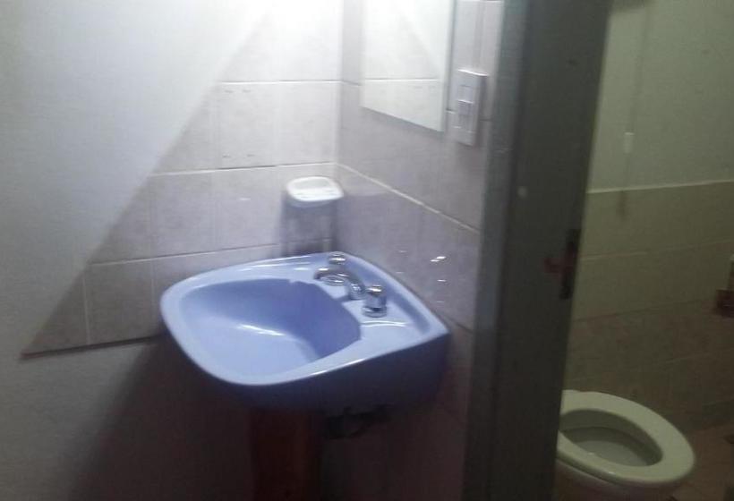 تختخواب و صبحانه Pura Vida Hostel