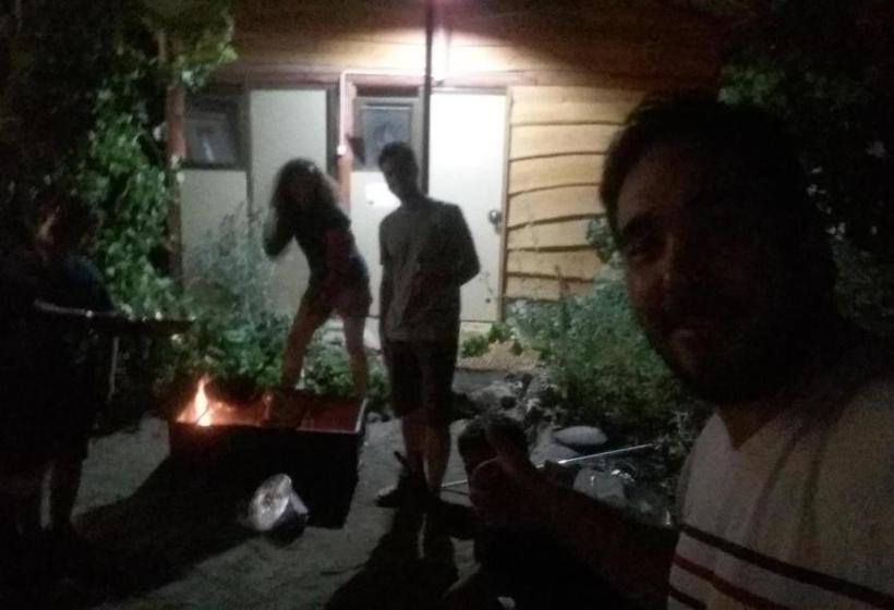 تختخواب و صبحانه Pura Vida Hostel