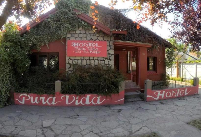 تختخواب و صبحانه Pura Vida Hostel