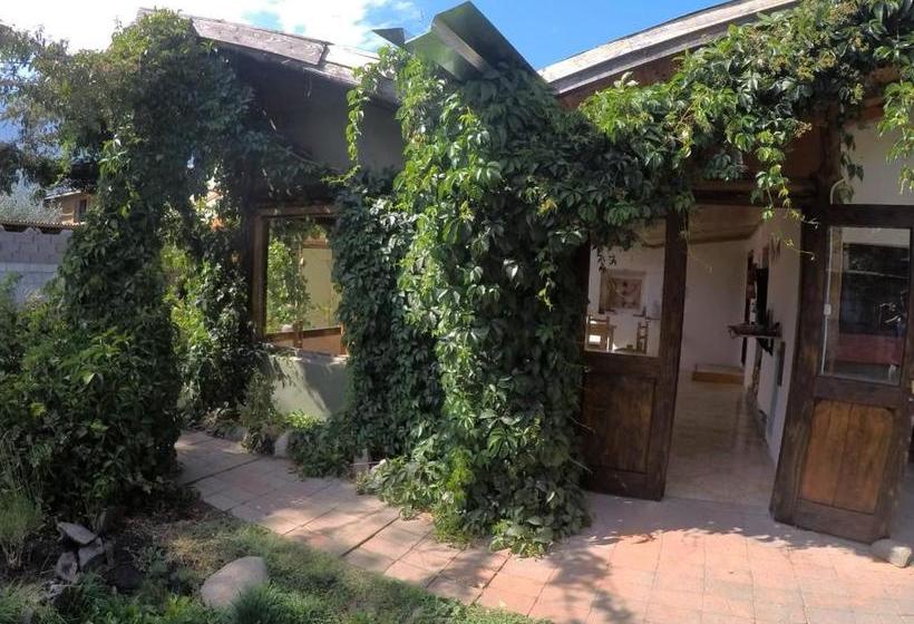 تختخواب و صبحانه Pura Vida Hostel