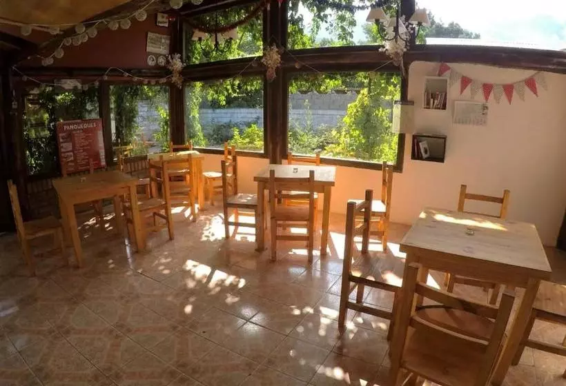 تختخواب و صبحانه Pura Vida Hostel