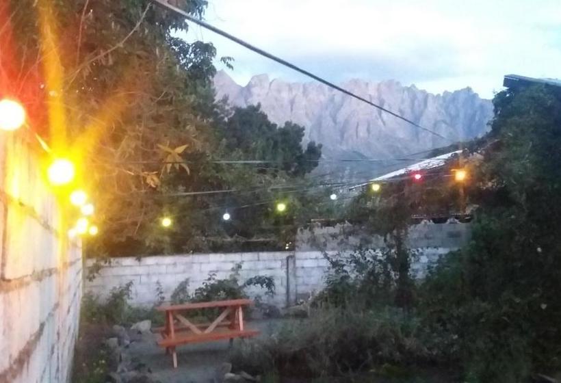 تختخواب و صبحانه Pura Vida Hostel