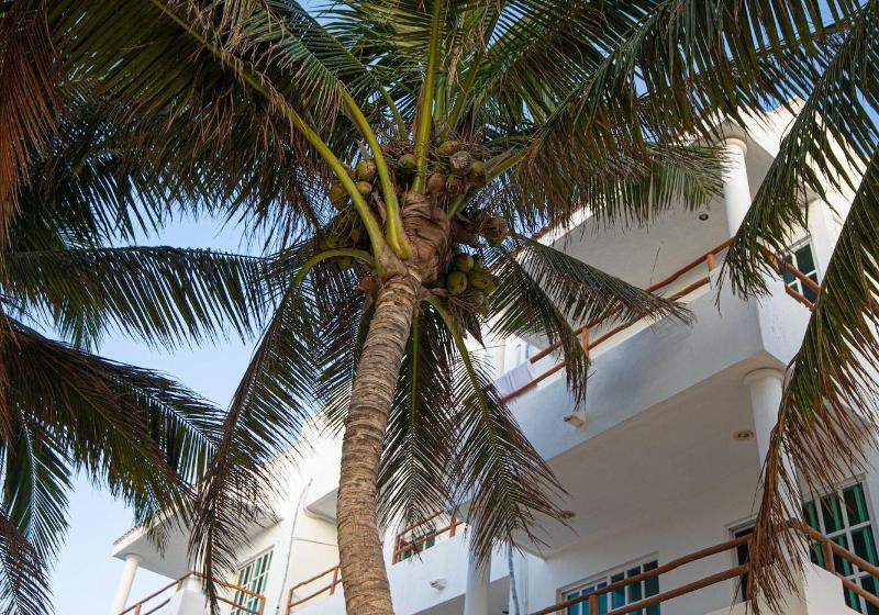 فندق Ojo De Agua