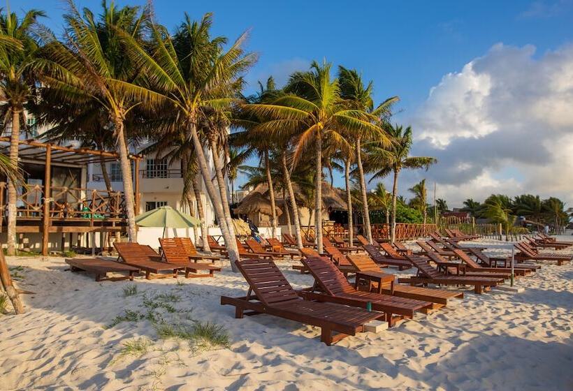 فندق Ojo De Agua