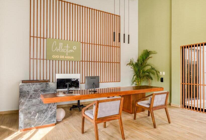 فندق Ojo De Agua