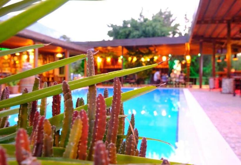 酒店 Bella View Art Boutique