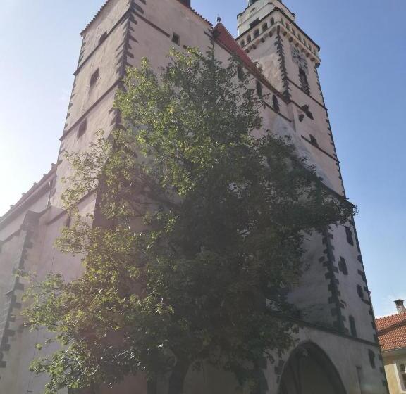 פנסיון Pivovar Prachatice