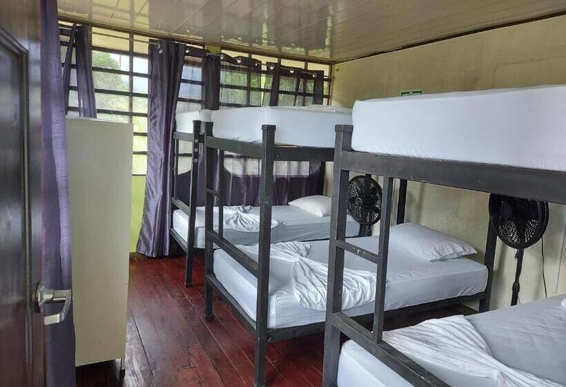 הוסטל Yubarta Lodge