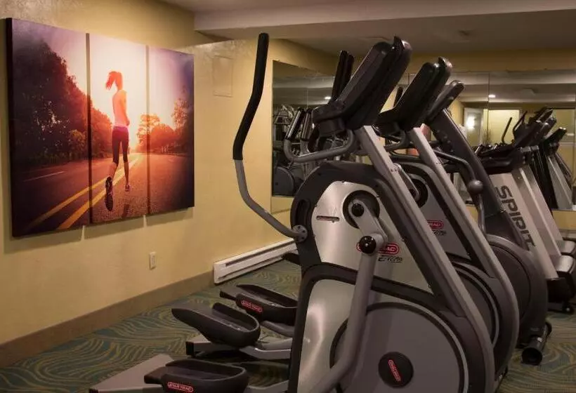 酒店 Bayside Resort