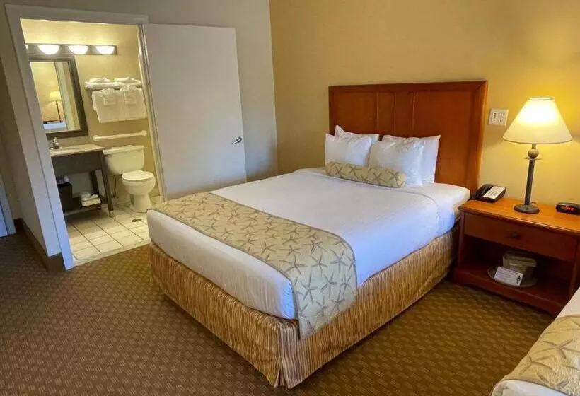 酒店 Bayside Resort