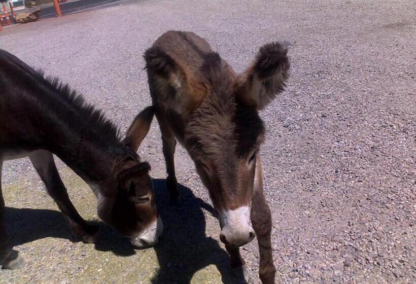 ホテル Atomic Inn Beatty Near Death Valley