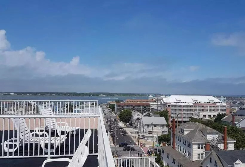 Отель Paradise Plaza Inn