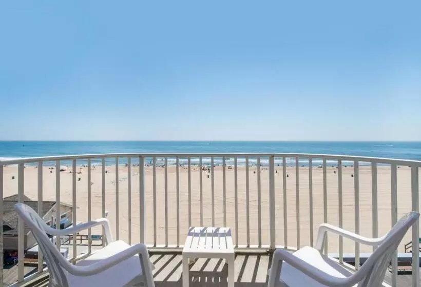 Отель Paradise Plaza Inn