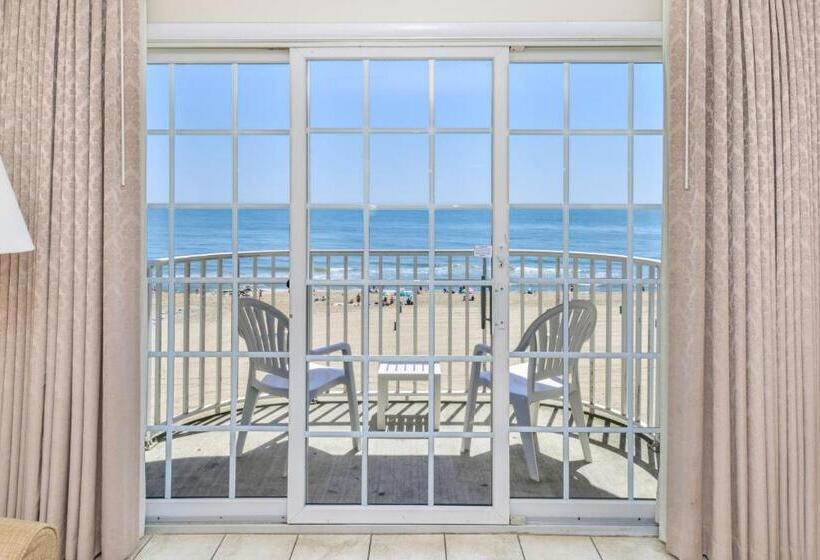 酒店 Paradise Plaza Inn