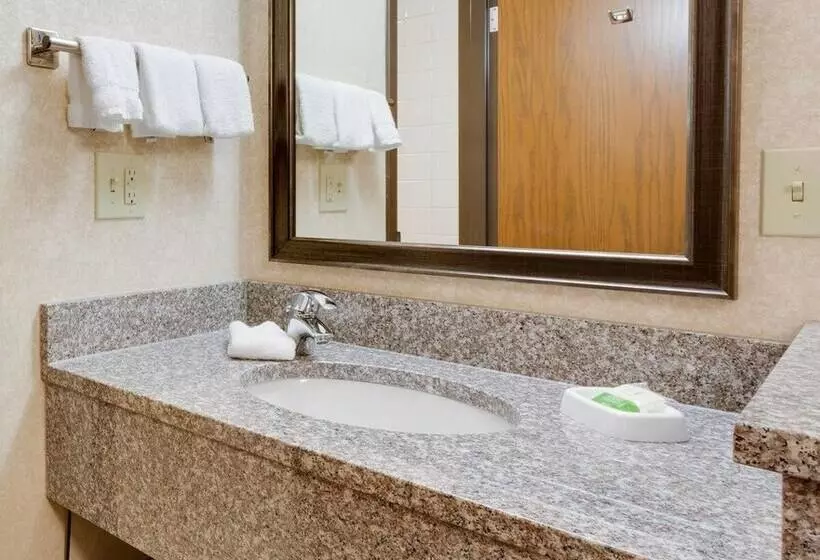 Отель Wingate By Wyndham St Louis Fenton Route 66