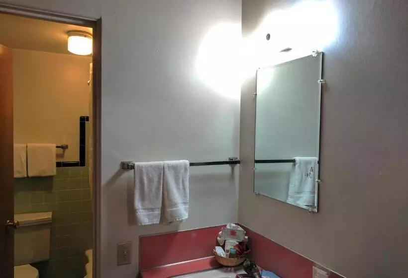 酒店 Prospector Motor Lodge