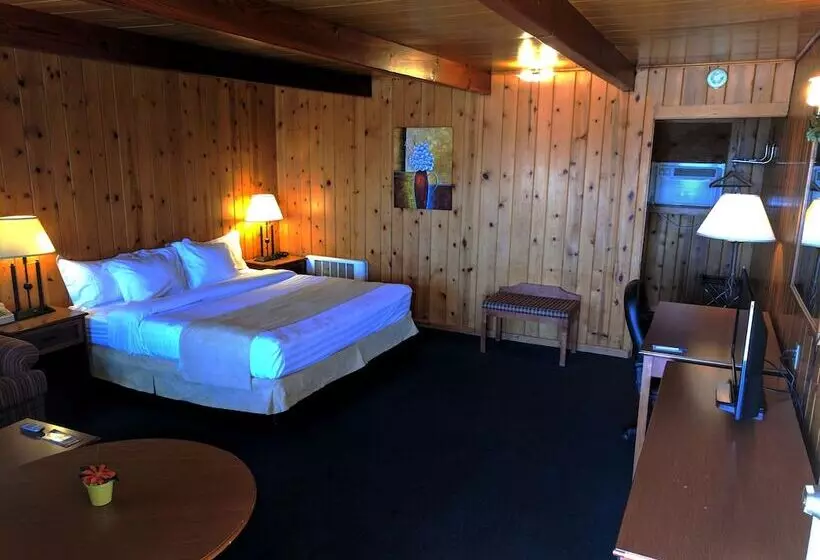 酒店 Prospector Motor Lodge