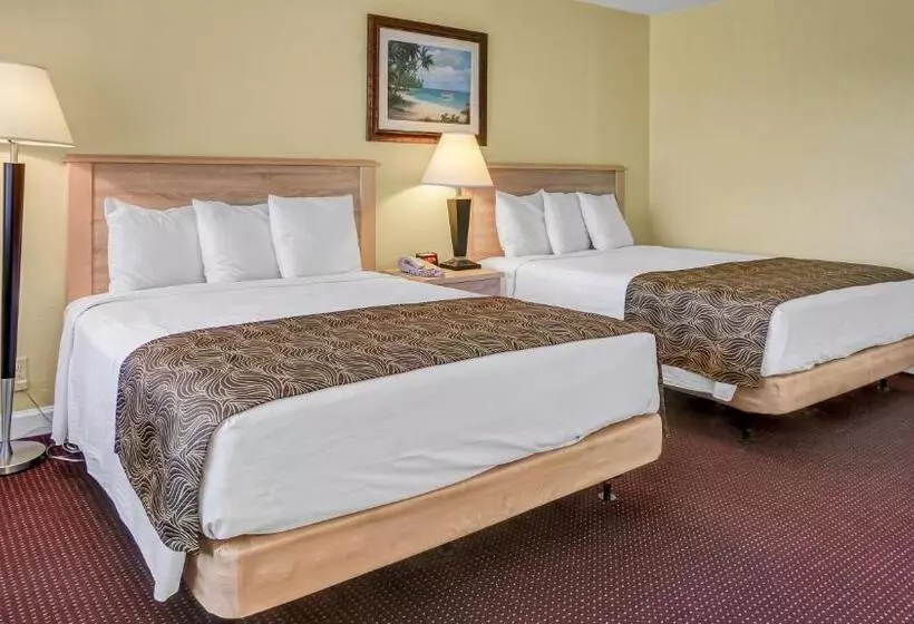 モーテル Page Terrace Beachfront