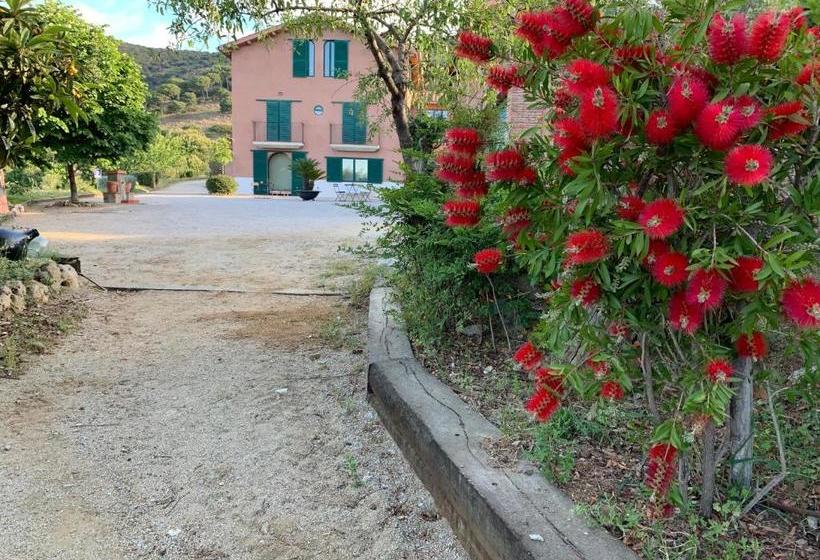 تختخواب و صبحانه Can Ballús Bed&breakfast