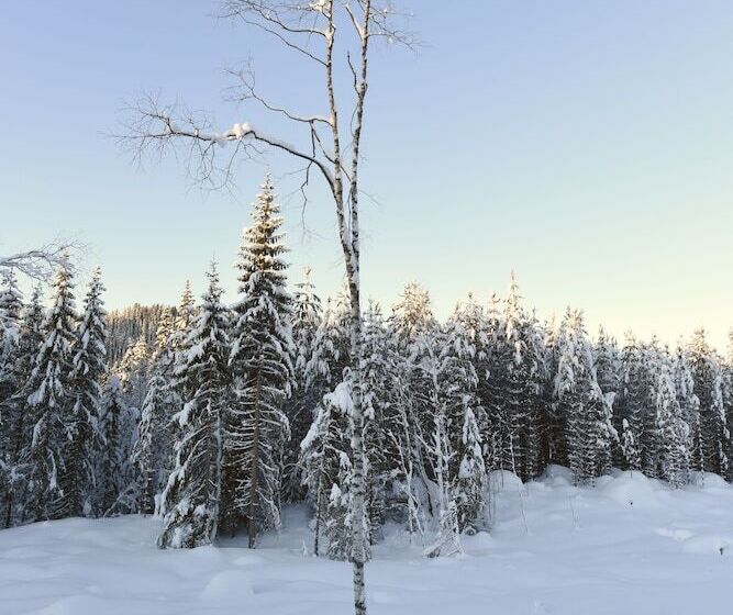 Fresh Familie Hytte Hemsedal