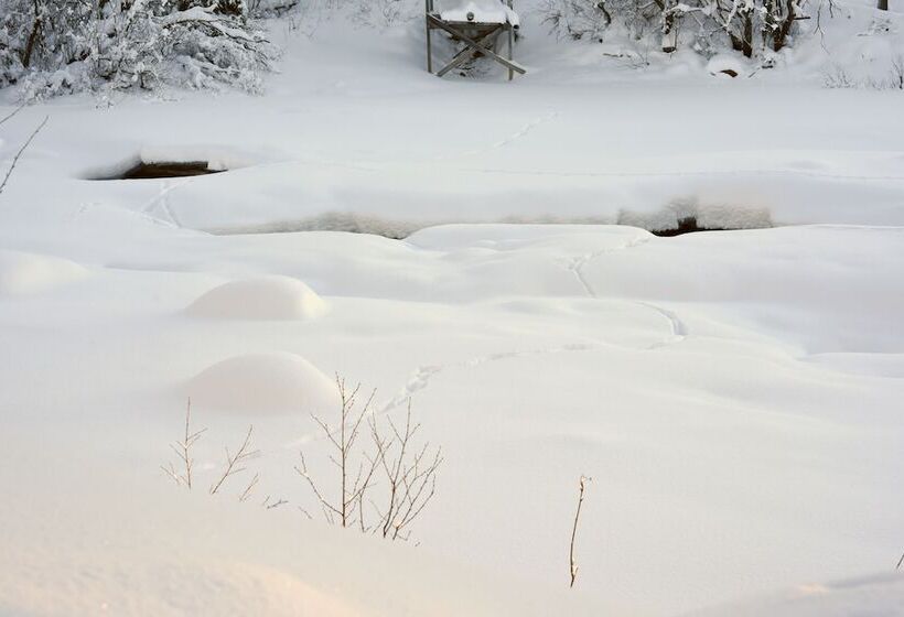 Fresh Familie Hytte Hemsedal