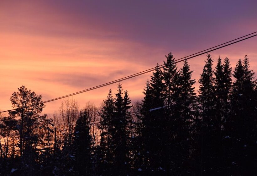 Fresh Familie Hytte Hemsedal