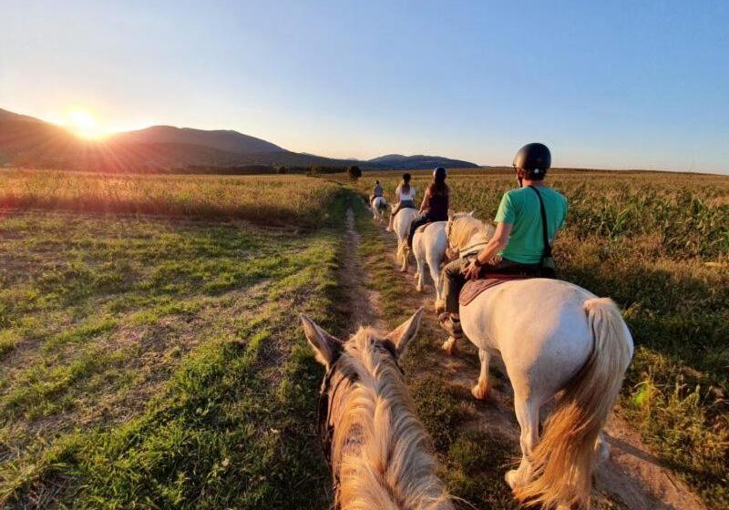 بنسيون Apartments And Rooms Kristina