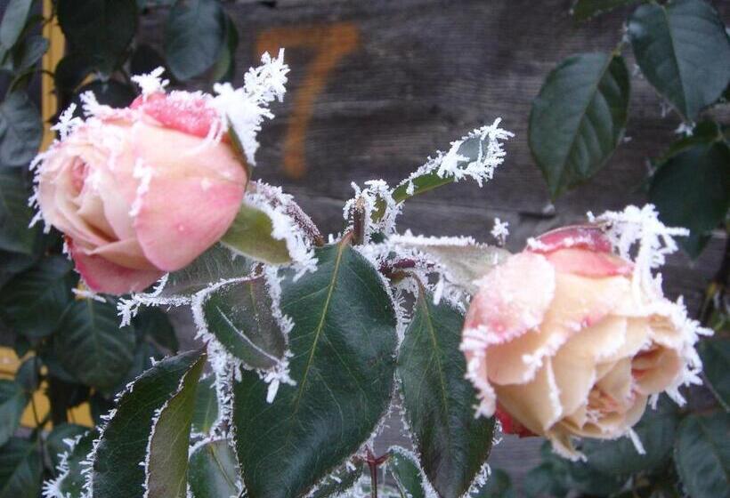 بنسيون Apartments And Rooms Kristina