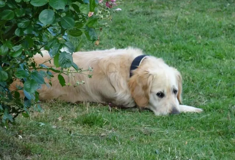 Majatalo Apartments And Rooms Kristina