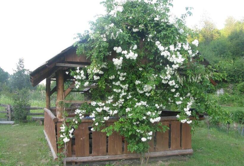 بنسيون Apartments And Rooms Kristina