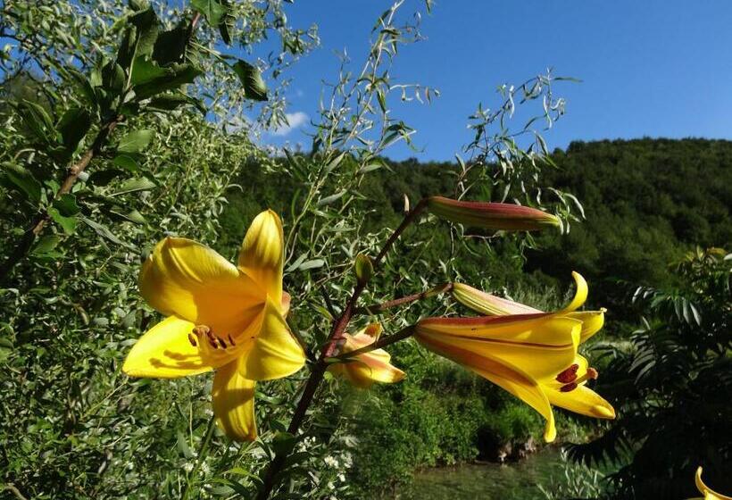 بنسيون Apartments And Rooms Kristina