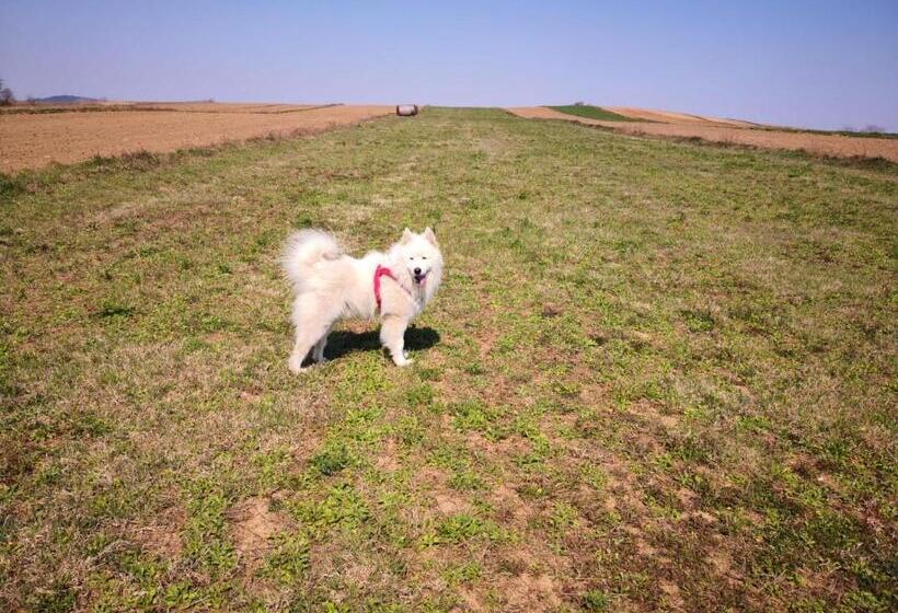 بنسيون Apartments And Rooms Kristina