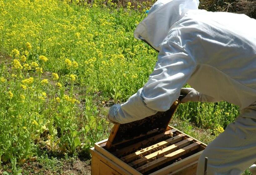 Pension Kuroshiomaru