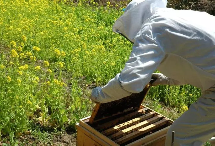 Pension Kuroshiomaru