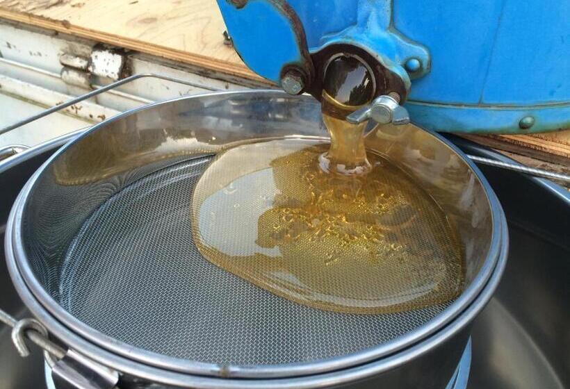 Pension Kuroshiomaru