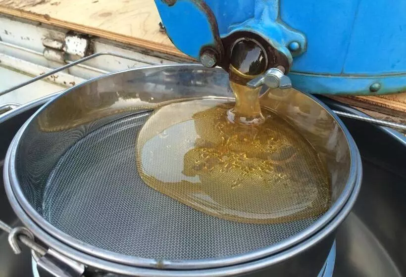 Pension Kuroshiomaru