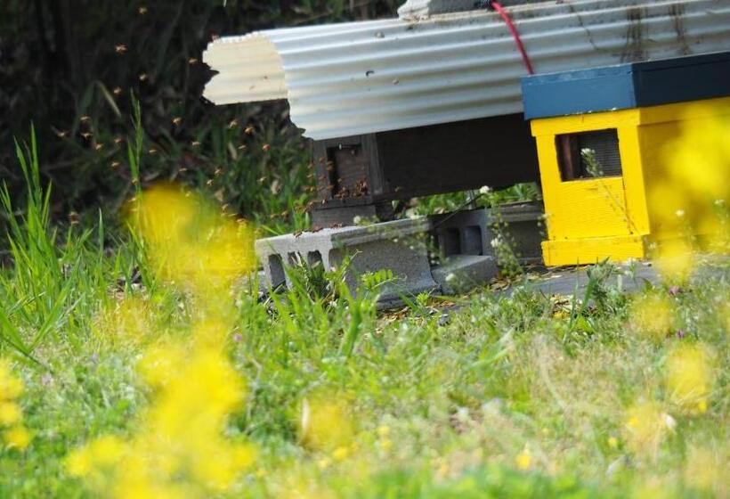 Pension Kuroshiomaru